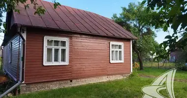 House in Vyalikiya Lepyasy, Belarus