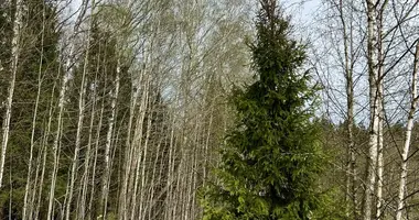 Plot of land in Volokolamsky District, Russia