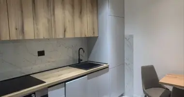 Apartment in Podgorica, Montenegro
