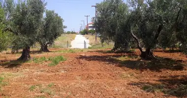 Terrain dans Kalyves Polygyrou, Grèce