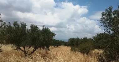 Terrain dans Kefalas, Grèce