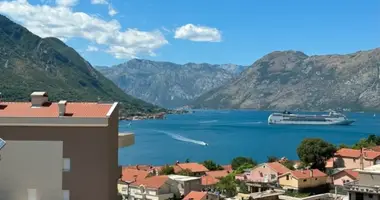 Mieszkanie 1 pokój w Dobrota, Czarnogóra