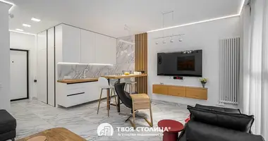 1 bedroom apartment in Minsk, Belarus