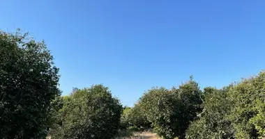 Terrain dans Trachoni Municipality, Chypre