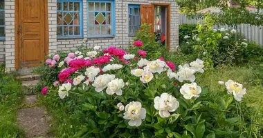 Maison dans Kalodziscanski sielski Saviet, Bélarus