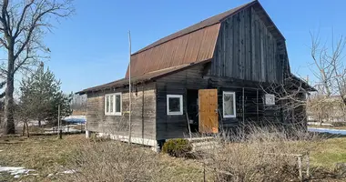 House in Lahojsk selsaviet, Belarus