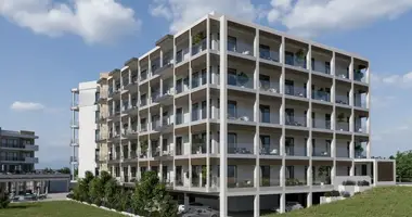 Studio apartment in Koinoteta Mouttagiakas, Cyprus