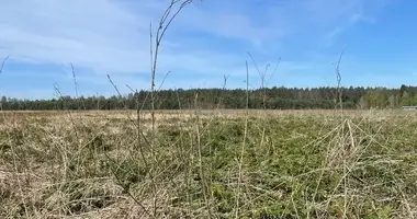 Terrain dans Teresiskes, Lituanie