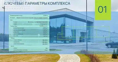 Commercial real estate in Smalyavichy District, Belarus