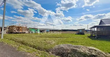 Участок земли в Раменский муниципальный округ, Россия
