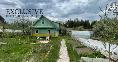 4 bedroom house in Zodzinski sielski Saviet, Belarus