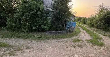 Casa en Krapivienski sielski Saviet, Belarús