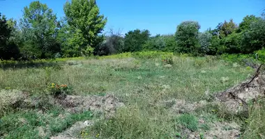 Plot of landin Agard-puszta, Hungary