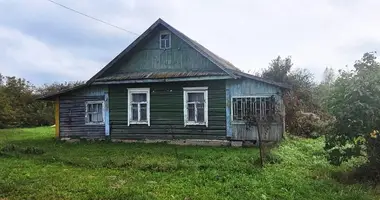 Haus in Horkauskaja Slabada, Belarus