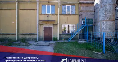 Manufacture 2 311 m² in Dukorski sielski Saviet, Belarus