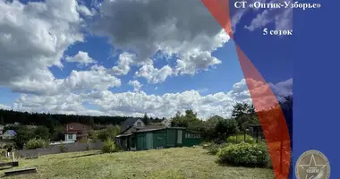 Działka w Astrashitskagaradokski rural council, Białoruś