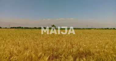 Grundstück in Stoenesti, Rumänien