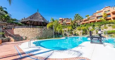 Wohnung 2 Schlafzimmer in San Pedro Alcantara, Spanien