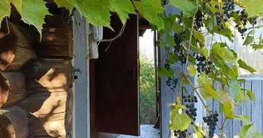 Dom w Januskavicki sielski Saviet, Białoruś