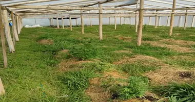 Участок земли в San Jacinto, Уругвай