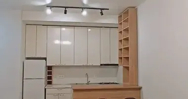 1 bedroom apartment in Tbilisi, Georgia