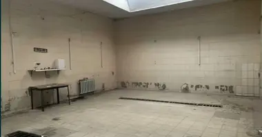 Коммерческое помещение 210 м² в Одесса, Украина