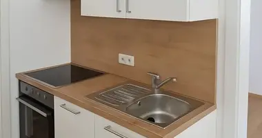 Квартира 2 комнаты в St Kathrein am Hauenstein, Австрия