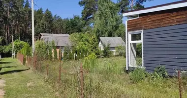 Дом в Голоцкий сельский Совет, Беларусь