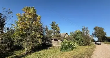 Maison dans Larynauka, Bélarus