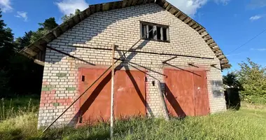 Casa en Krupki, Belarús