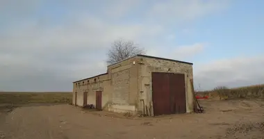 Propriété commerciale 123 m² dans Gaukstonys, Lituanie