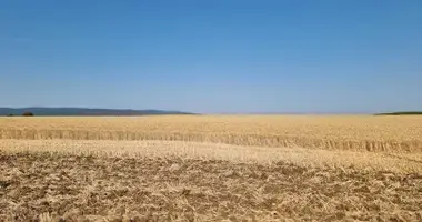 Działka w Tankovo, Bułgaria