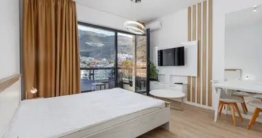 1 bedroom apartment in Montenegro