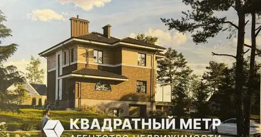 House in Luhavaslabadski sielski Saviet, Belarus