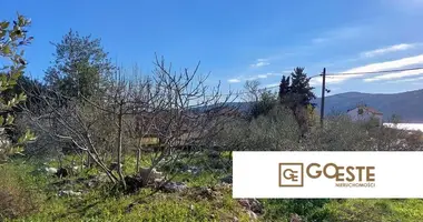 Parcela en Opcina Dezanovac, Croacia