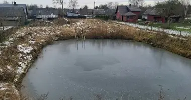 Działka w Tryszki, Litwa