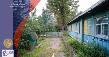 Grundstück in Holacki sielski Saviet, Belarus