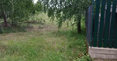 Участок земли в Острошицкий сельский Совет, Беларусь