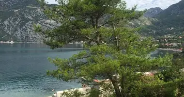 Квартира 2 комнаты в Рисан, Черногория