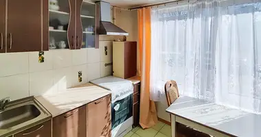1 bedroom apartment in Minsk, Belarus