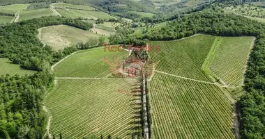 Propiedad comercial 675 m² en Greve in Chianti, Italia