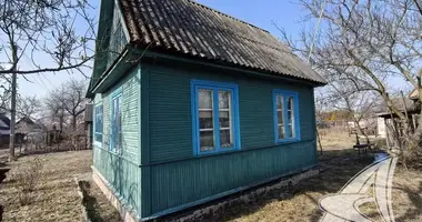 House in Carnaucycki sielski Saviet, Belarus
