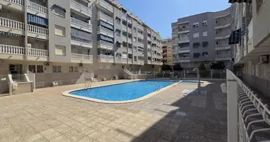 Mieszkanie 1 pokój w Torrevieja, Hiszpania