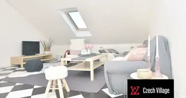 Appartement 3 chambres dans Teplice, République tchèque