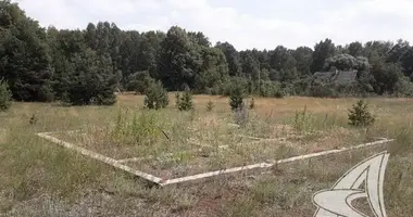 Plot of land in Damacauski sielski Saviet, Belarus