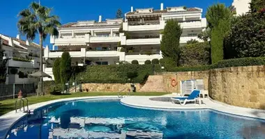 2 bedroom apartment in San Pedro Alcantara, Spain