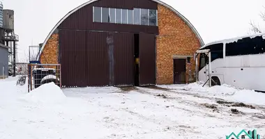 Manufacture 290 m² in Novy Dvor, Belarus