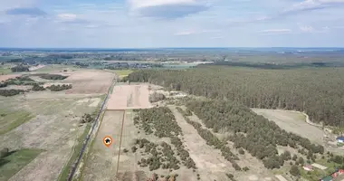 Terrain dans Rukainiai, Lituanie