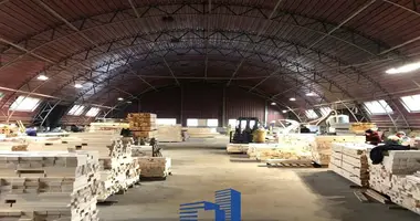 Склад 916 м² в Молодечно, Беларусь