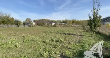 Plot of land in Carnaucycki sielski Saviet, Belarus
